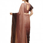Embroidered saree with solid border in brown and dark
