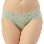 Women Hipster Multicolor Panty