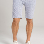 Men Blue & White Striped Slim Fit Cotton Shorts