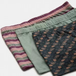 Women Boy Short Multicolor Panty  (Pack of 3)
